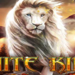 Recenzia: White King