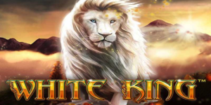 Recenzia: White King