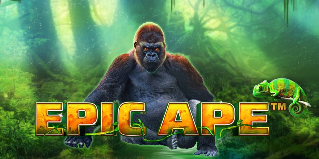 Recenzia: Epic Ape